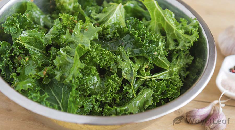 leafy kale salad