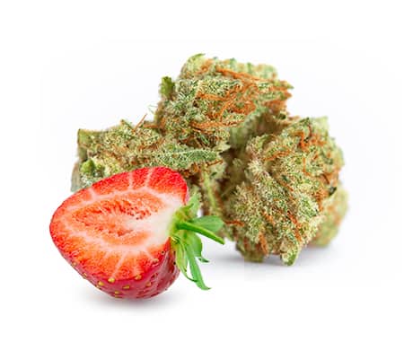Sour Strawberry Cannabis Strain Review