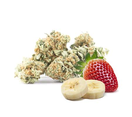 Strawberry Banana Cannabis Strain