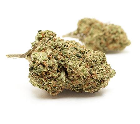 Blueberry Headband Marijuana Strain Review