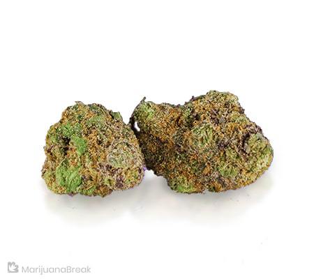 Mendo Montage Strain – The Full Review