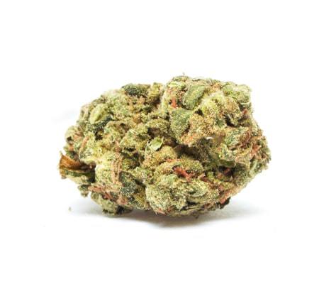 Ultra Sonja Strain Review + Info