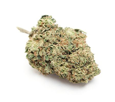 Yoda OG Strain Review