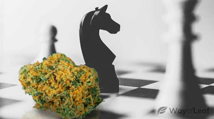 best-tasting-marijuana