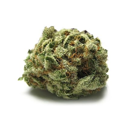 Alpha Blue Strain Review