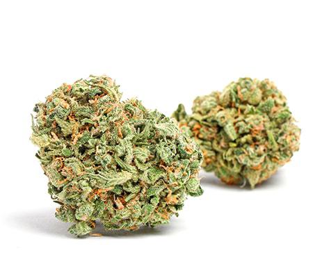 Mandarin Dreams Cannabis Strain Review