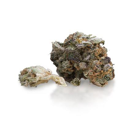 LA Chocolat Strain (Cannabis Strain Review) LA Chocolat Strain (Cannabis Strain Review)