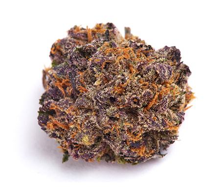 XXX 420 Cannabis | Ultimate Strain Review