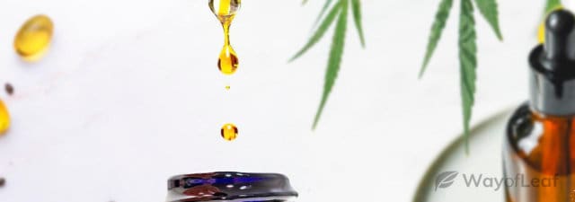 Understanding Hemp Oil Ingredients