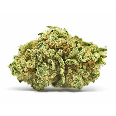 Green Queen Strain [Marijuana Review]