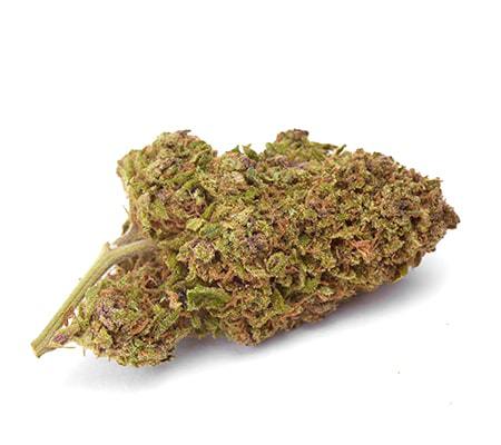 Blue Rhino Strain [Marijuana Strain Review]