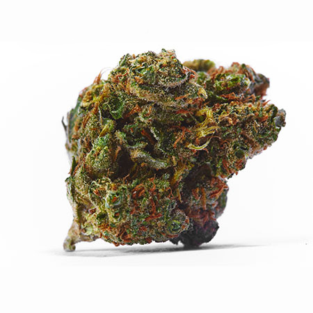 Lemon Jack Strain (Grow Info & Review)