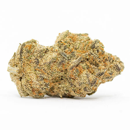 XJ-13 Marijuana Strain Review XJ-13 Marijuana Strain Review