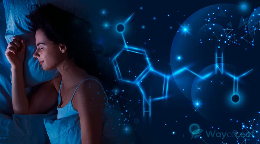 how-does-melatonin-work