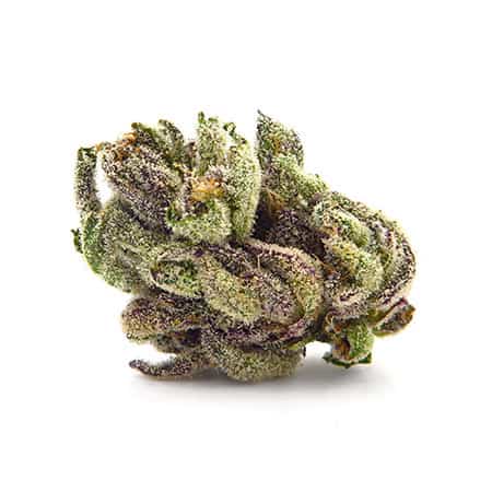 Royal Gorilla Strain Review [Origins, Benefits, Potency]