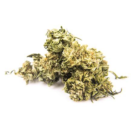 Kobain Kush Strain Review