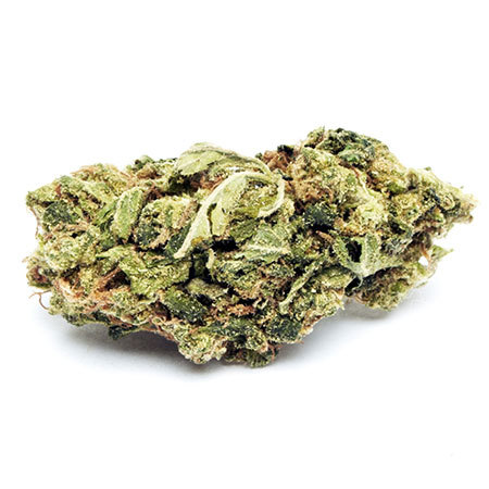 Gigabud Marijuana Strain Review