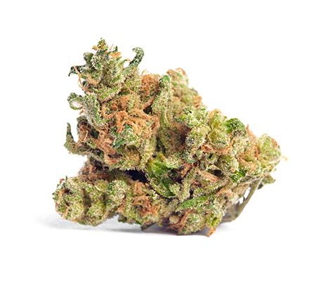 U2 Kush Strain: The Expert’s Review