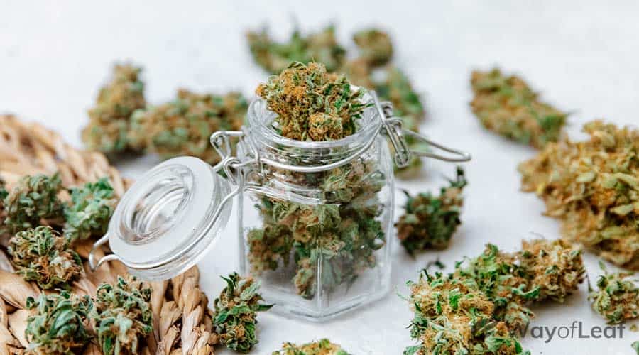 stress-killer-automatic