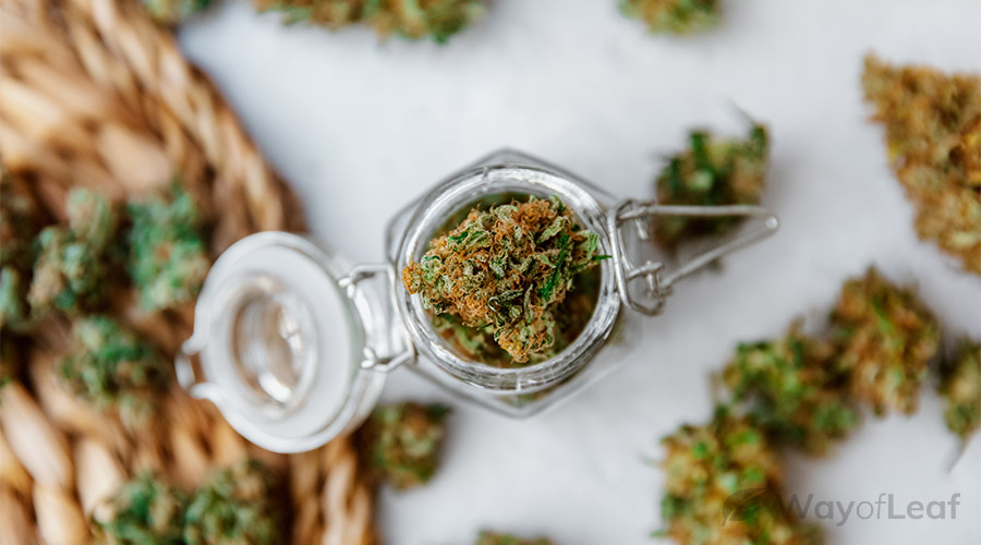 wol-article pic-malawi gold