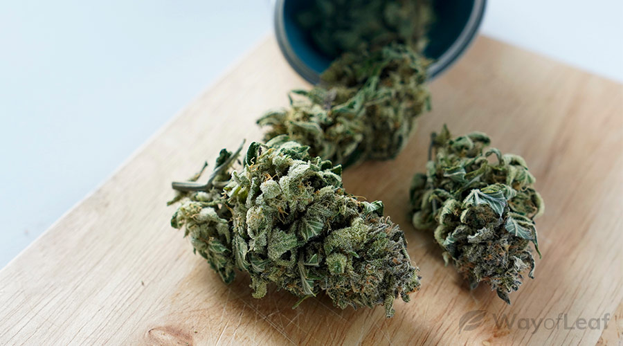 wol-article pic-parvati