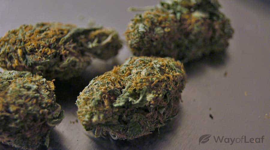 best-weed-for-edibles