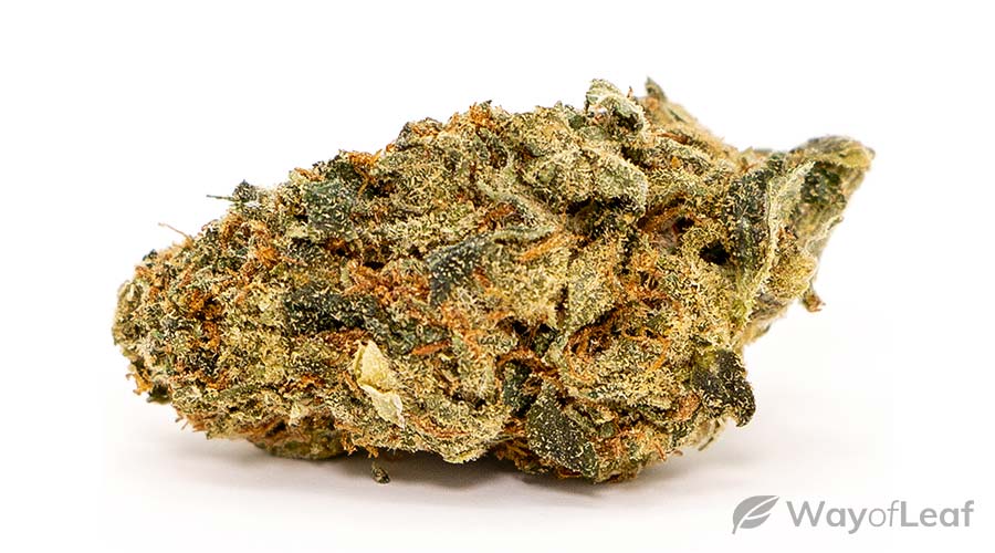 most-challenging-marijuana-strains
