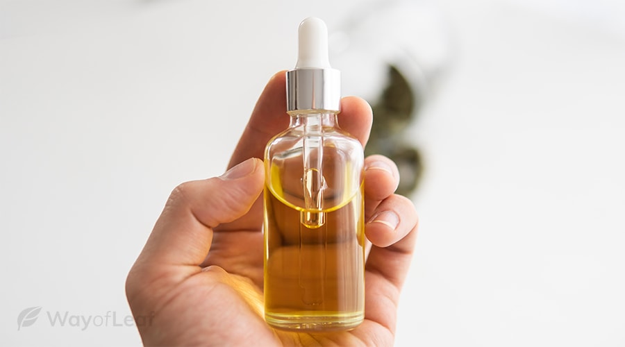 what is cbd lube?