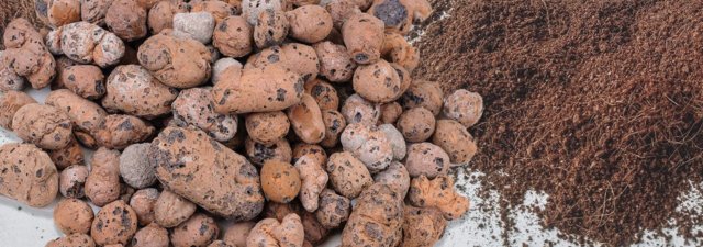 Growing Mediums – The Cheapest and Most Expensive [Rated]