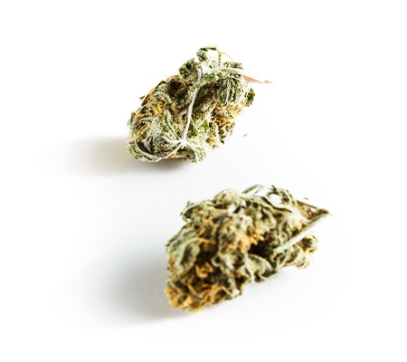 Viking Marijuana Strain Review