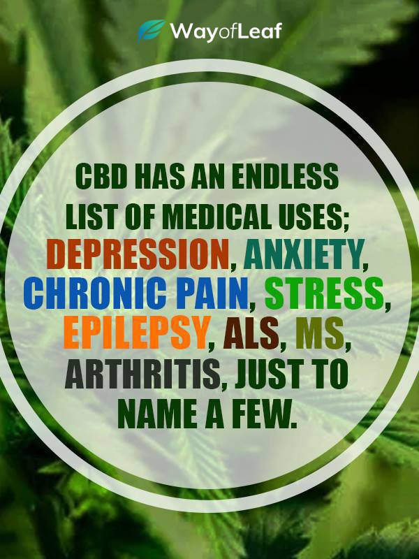 cbd oil: what is cbd oil, how it works and what is it used for