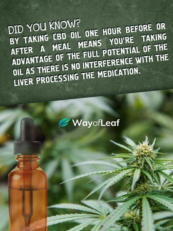 cbd oil: what is cbd oil, how it works and what is it used for