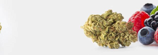 5 Cannabis Strains with a Berry Flavor [Our Top Picks]