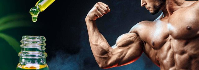 CBD and Bodybuilding [Can It ACTUALLY Be Beneficial?]