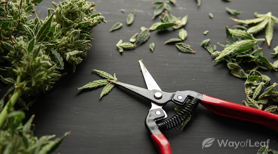 weed-trim