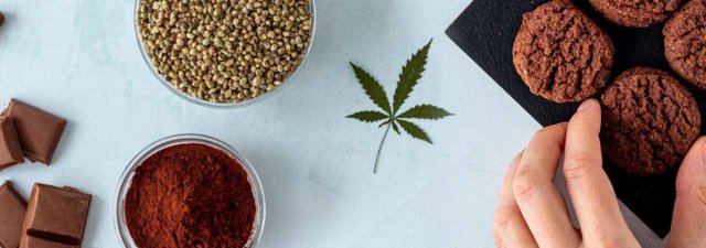 Your Quick & Easy Guide to CBD Edibles – Essential Information