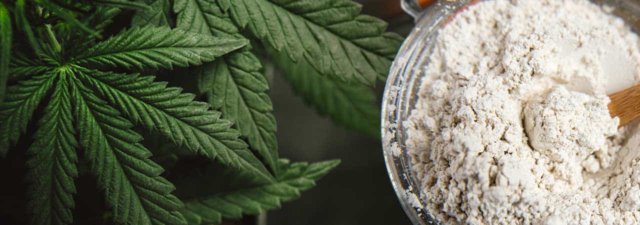 Diatomaceous Earth and Cannabis Growing [What Are the Benefits?]