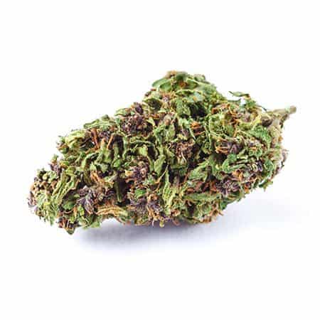 Bubbleberry Marijuana Strain Review + Info