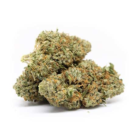 Creme Brulee Strain Review Creme Brulee Strain Review