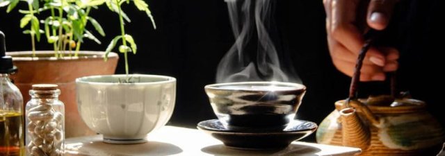 Low-Stress Training Techniques for Cannabis Plants