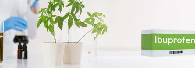 Can CBD Oil Be Taken with Ibuprofen? [What the Science Says]