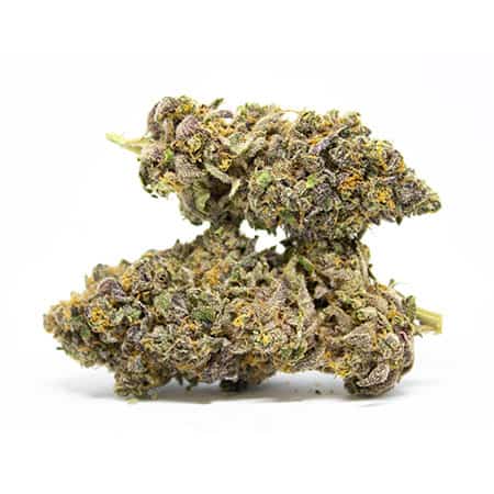 Member Berry Cannabis Strain | Tried & Tested