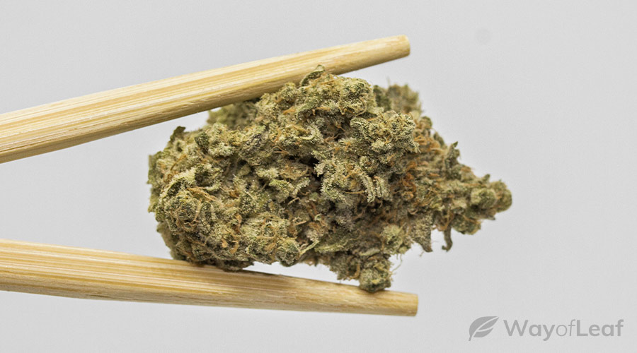 euphoric-weed-strains