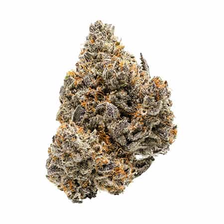 Banana Puff | Marijuana Strain Review
