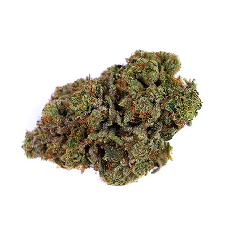 Diesel Marijuana Strain [The Complete Review]