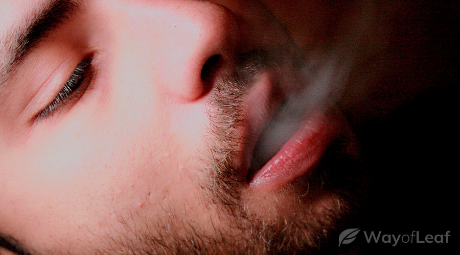 durban-cookies-cannabis-strain