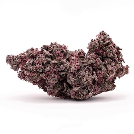 Haze Berry Strain Review