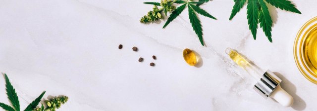 The Best Uses for Terpene Oil [Explained]