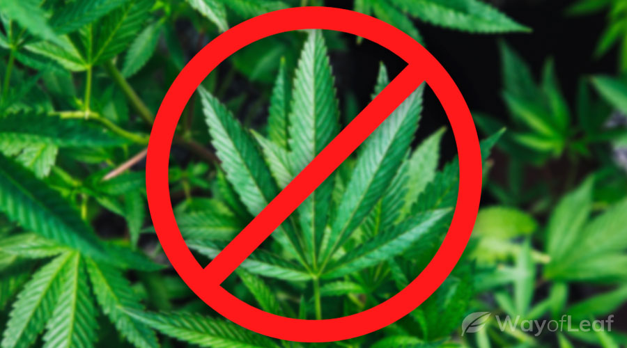 why-was-hemp-banned