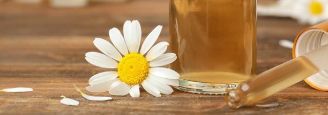 Bisabolol Cannabis Terpene [All You Need to Know]